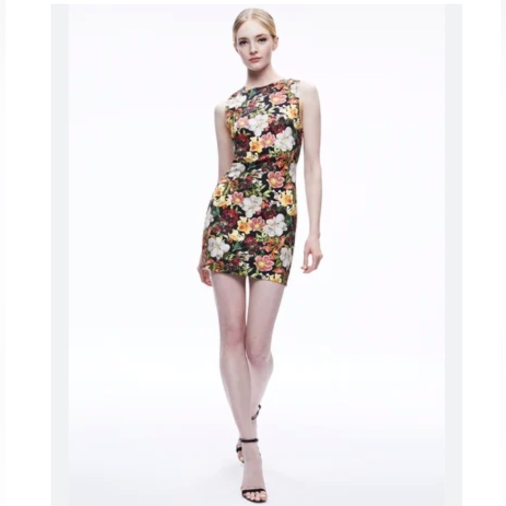Alice and Olivia wynell dress